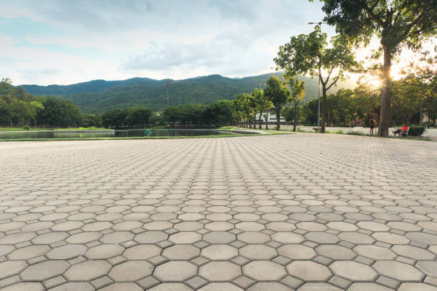 Best Paver Driveway Replacement  in Brooklyn Park, MN