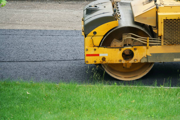 Best Driveway Pavers Near Me  in Brooklyn Park, MN